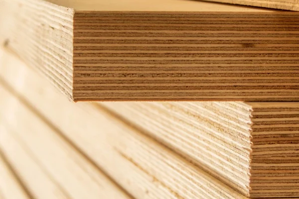 Huş ağacı dayanıklılığı nasıldır sorusu, hem doğa tutkunlarının hem de marangozlukla ilgilenen profesyonellerin en çok merak ettiği konulardan biridir.