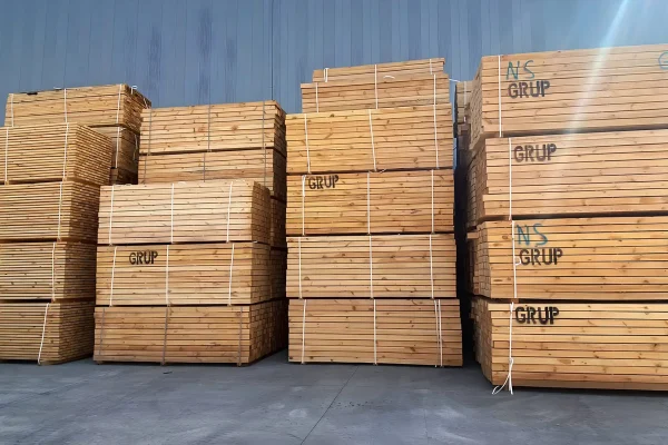 Ağaç İthalatı için Lojistik Planlama süreci doğru yönetilmezse büyük riskler ortaya çıkar ancak doğru planlama ile süreç oldukça verimli ilerler.