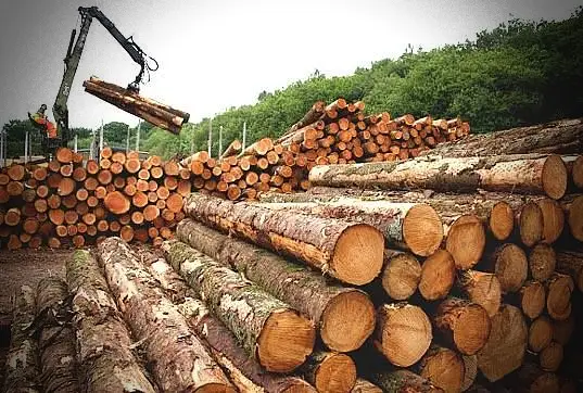 Ağaç Ürünlerinde Toptan Çözümler! Ağaç ürünleri sektöründe toptan çözümler sunar. Sektörde güvenilir seçenektir.