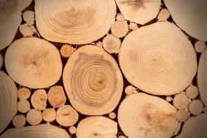 Ahşap malzemelerde çürüme önleyici koruma yöntemleri ve uygulama teknikleri, yapıların dayanıklılığını artırmak için önemlidir.