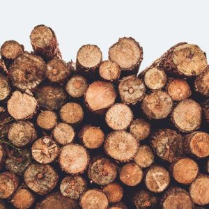 Sapelli ağacı fiyat bilgisi ile mobilya üretiminde doğru yatırım yapın. Estetik, dayanıklı ve uzun ömürlü sapelli ürünlerle kaliteyi artırın.