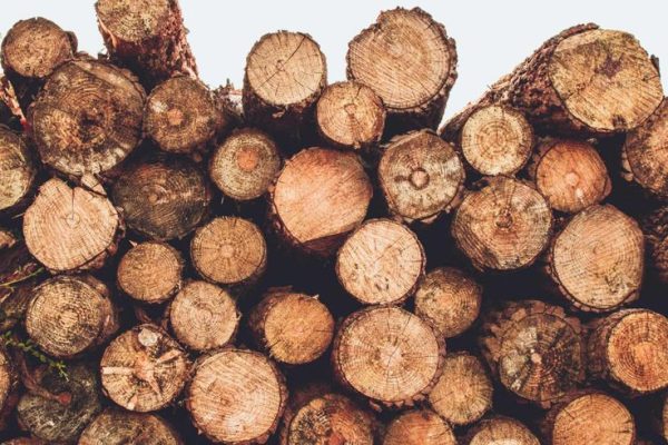 Sapelli ağacı fiyat bilgisi ile mobilya üretiminde doğru yatırım yapın. Estetik, dayanıklı ve uzun ömürlü sapelli ürünlerle kaliteyi artırın.