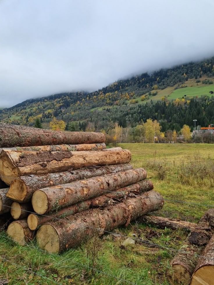 Grup Ağaç OSB Levha Uygun ve Kaliteli Ürünler! OSB levhalar, inşaat, mobilya ve dekorasyon sektörlerinde yaygın olarak kullanılır.